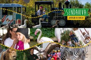 Disfruta de un 10% de descuento en Sendaviva