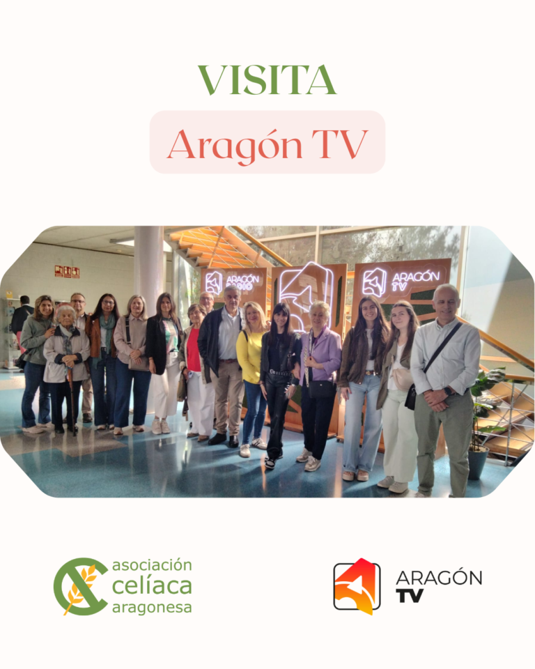 Visita a Aragón TV